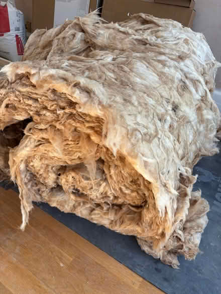 Photo of free Rockwool insulation new surplus (Hove BN3 4QH) #2