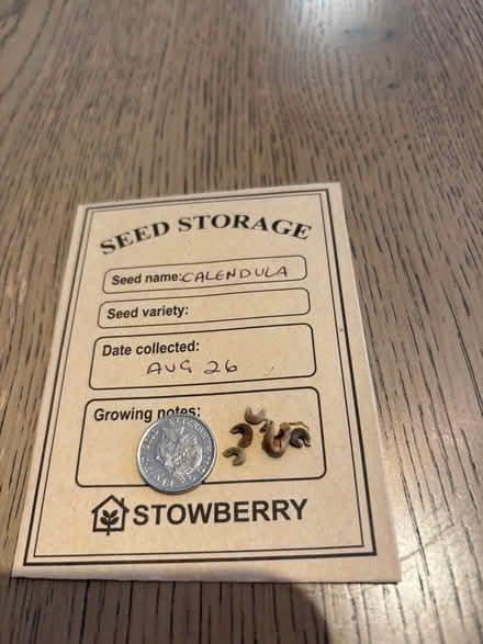 Photo of free flower seeds (Oswestry SY11) #2