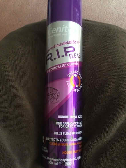 Photo of free Household flea spray (Canterbury CT2) #1