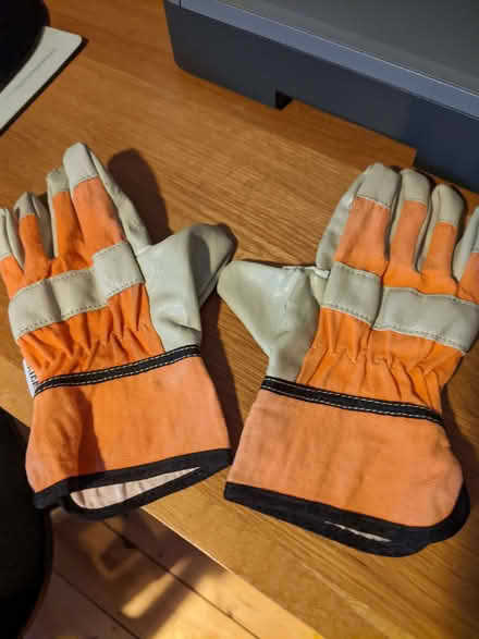 Photo of free Small childrens gardening gloves (Kennington OX1) #1