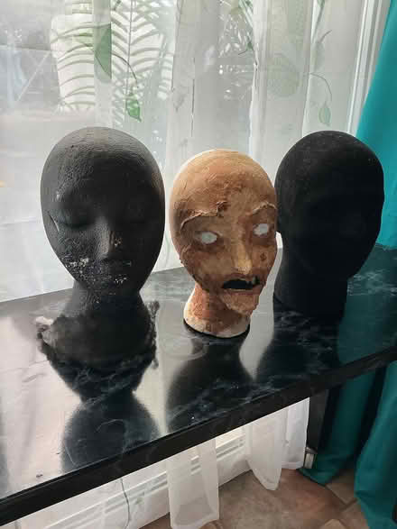 Photo of free Polystyrene heads (Swarcliffe LS14) #1