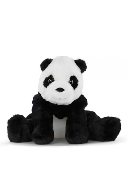 Photo of Panda soft toys (Willingdon BN22) #1