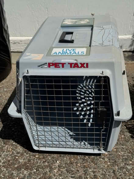 Photo of free Large pet crate (Shoreline) #2