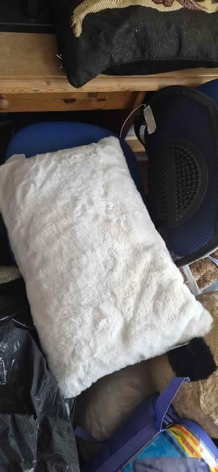 Photo of free Fluffy cream pillow dusty but clean (Portsmouth PO1) #1