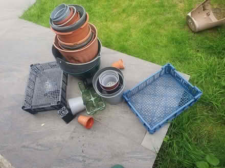 Photo of free Plastic plant pots/trays (Laindon SS15) #1