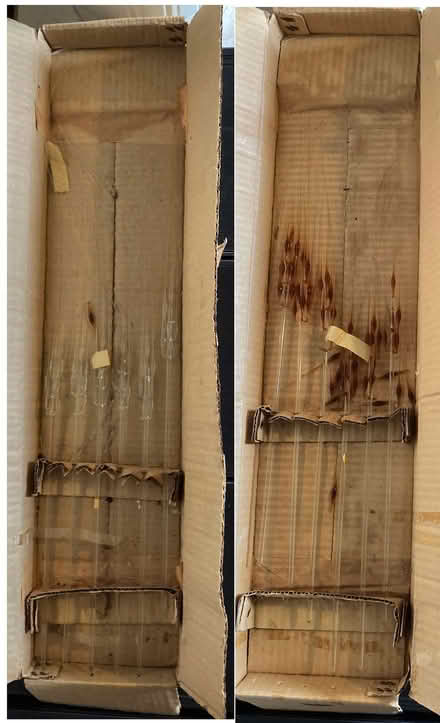 Photo of free Decor - glass wheat (Sedro-Woolley) #1