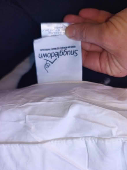 Photo of free slumberdown pillow (Bruntsfield EH10) #3