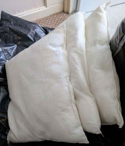 Photo of free 3 cushions (Netherley L27) #1