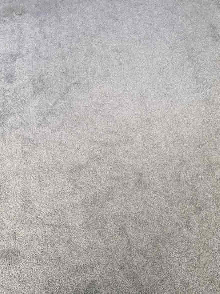 Photo of free Large grey used carpet (CH43 Upton) #1