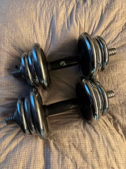 Photo of free Pair of Gold’s Gym Dumbbells (Bray SL6) #1
