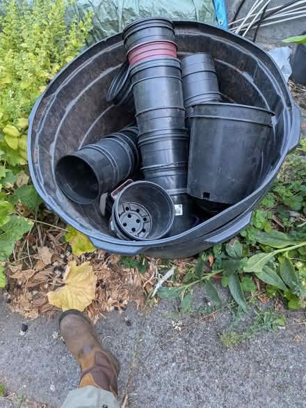 Photo of free Plastic nursery pots (Greenlake) #1