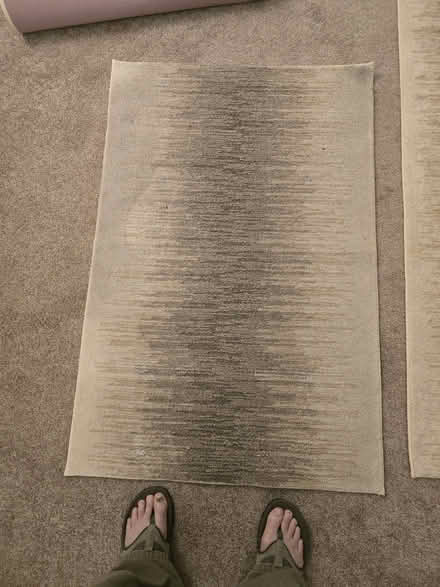 Photo of free Six Rugs (3 pairs) (Gunbarrel) #1