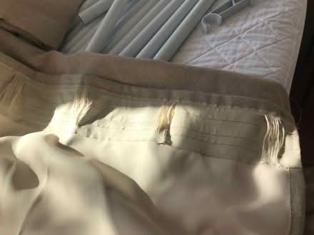 Photo of free Long curtains (Shepherds Bush W12) #2