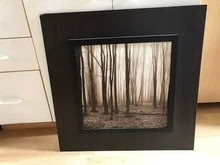 Photo of free Picture of forest on wood 26” (L5L 5P5) #1