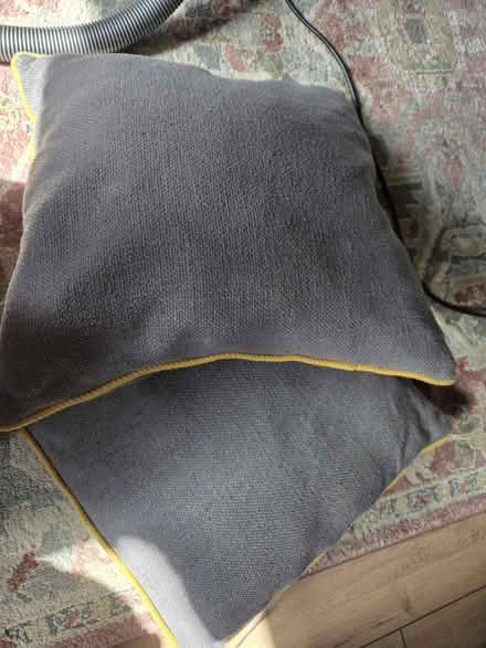 Photo of free 2 cushions (Thornton Heath CR7) #1