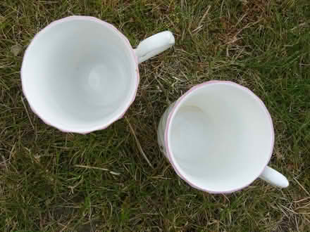 Photo of free 2 x National Trust "Victorian Spray" bone china mugs (Kempsey WR5) #4