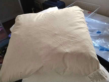 Photo of free Pillow and cushion pad (Bonnington road, EH6) #4