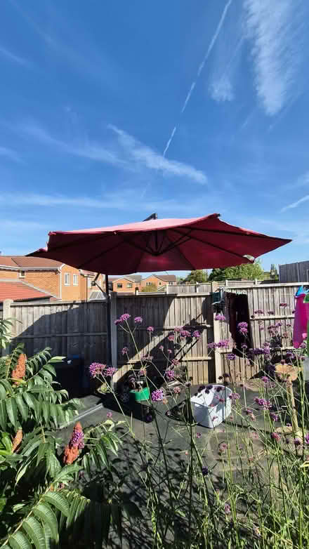 Photo of free Garden Parasol (High Green S35) #1