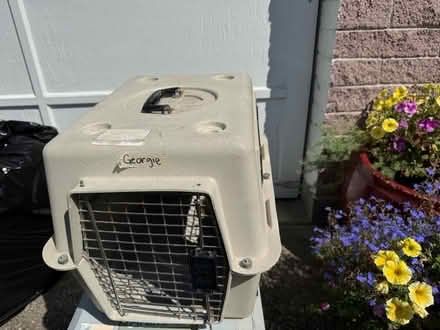 Photo of free Small pet carrier (Shoreline) #1