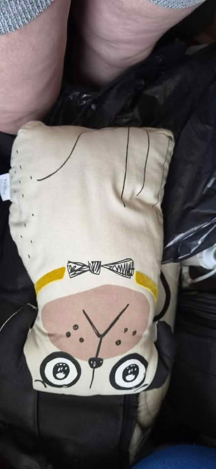 Photo of free Variety of pug cushions (Portsmouth PO1) #3
