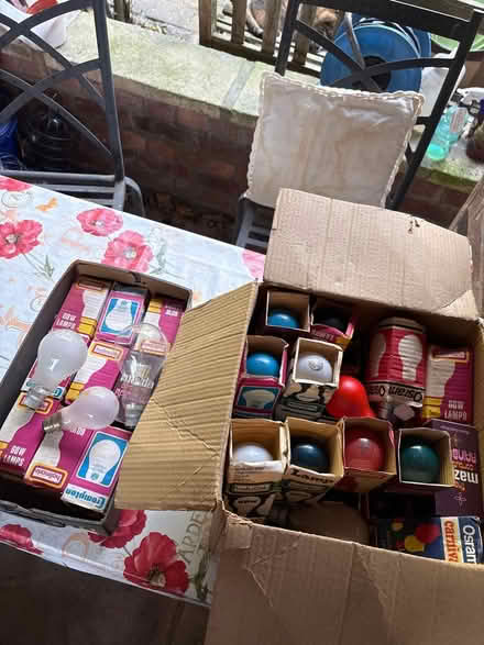 Photo of free Assorted coloured light bulbs (London W3) #1