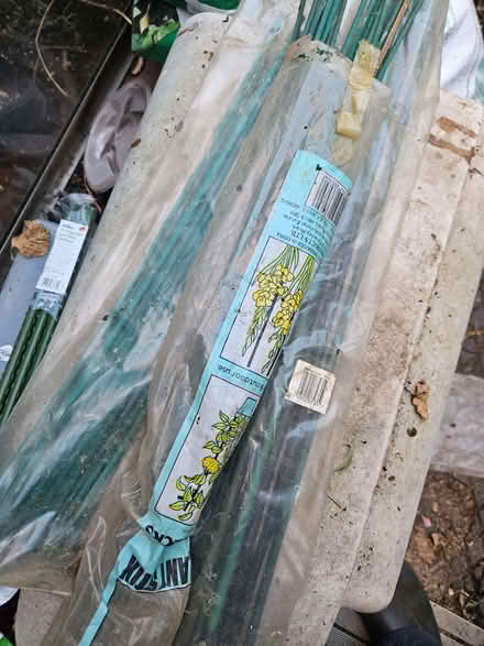 Photo of free Pea/support sticks for garden (Loughborough LE11) #1
