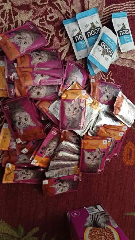Photo of free Cat food (Malvern Link WR14) #1