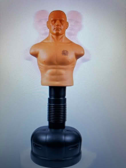 Photo of MMA style punching dummy/bag (Morden SM4) #1