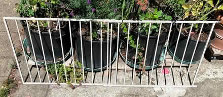 Photo of free Metal baby gate, expandable (Fremont) #1