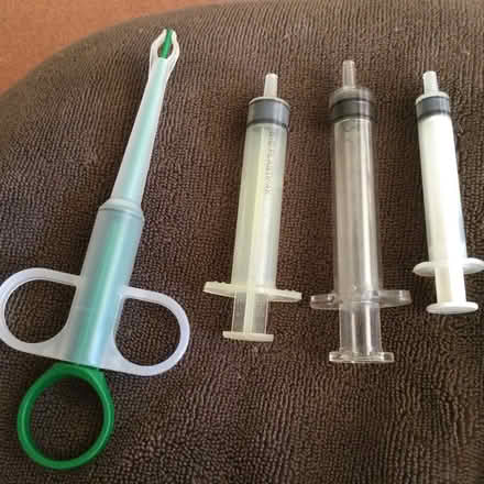 Photo of free Various pet syringes (Canterbury CT2) #1