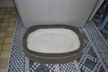 Photo of free Cat bed (gatineau ave & de bourgogne st) #1