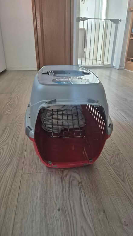 Photo of free Cat carrier (Shinfield RG2) #2