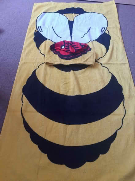 Photo of free Bumble bee hooded towel (Panshanger AL7) #1
