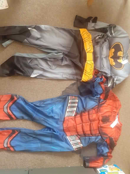 Photo of free Fancy dress, 3-4yrs (Panshanger AL7) #1