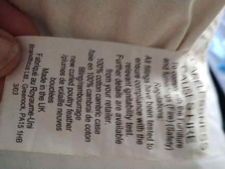 Photo of free Pillow and cushion pad (Bonnington road, EH6) #3