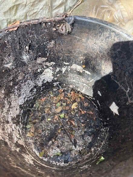 Photo of free Plastic bucket (Ecclesfield S35) #2