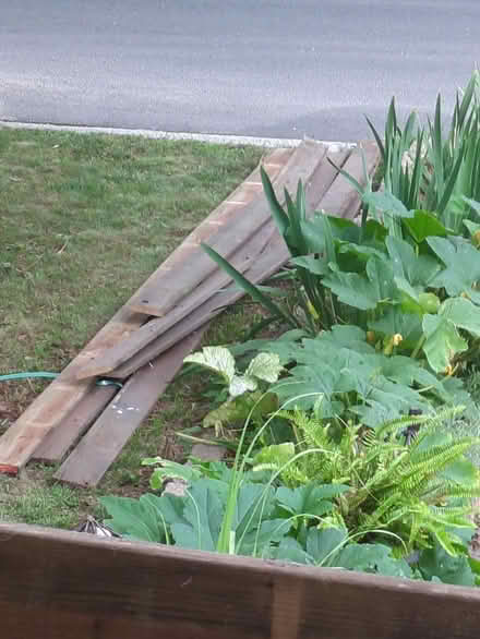 Photo of free One by six porch boards (Leonardo/Middletown) #2