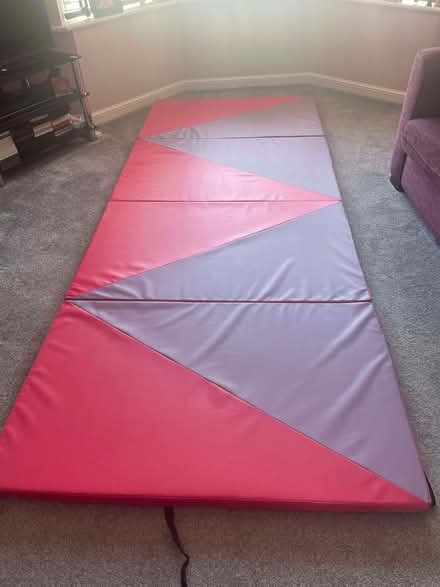 Photo of free Gym mat (Woodley RG5) #1