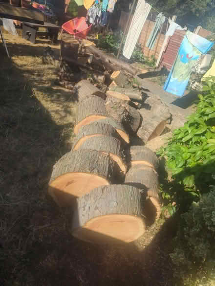 Photo of free logs (chesterfield S41) #1