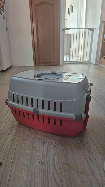 Photo of free Cat carrier (Shinfield RG2) #1