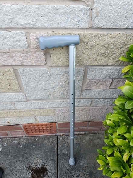 Photo of free Walking stick (Bramhall SK7) #1