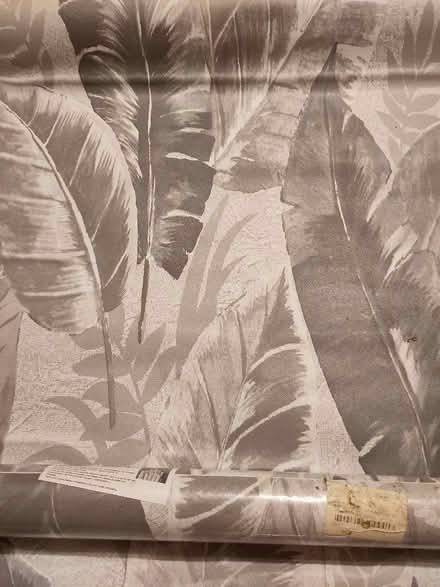 Photo of free Self adhesive wrap (Nutley TN22) #3