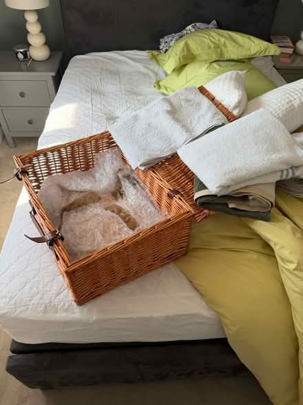 Photo of free Picnic basket + towels (Heaton Mersey, SK4) #1
