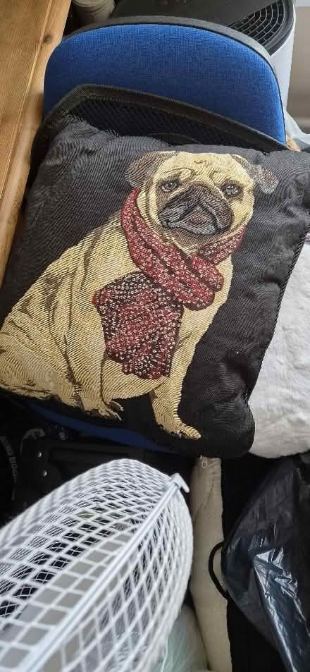Photo of free Variety of pug cushions (Portsmouth PO1) #1
