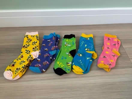 Photo of free Women’s bee socks (Shinfield RG2) #1