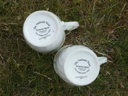 Photo of free 2 x National Trust "Victorian Spray" bone china mugs (Kempsey WR5) #3