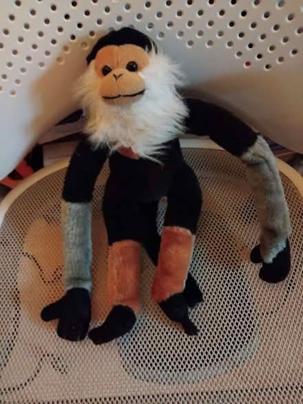 Photo of free Soft toy monkey (islington N1) #1