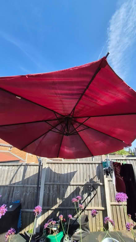 Photo of free Garden Parasol (High Green S35) #3