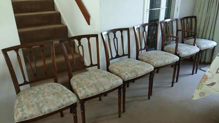 Photo of free Dining chairs (Haywards Heath, priory area.) #1