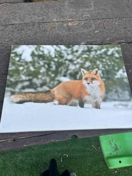 Photo of free Light up picture (St. Dunstan's CT2) #1